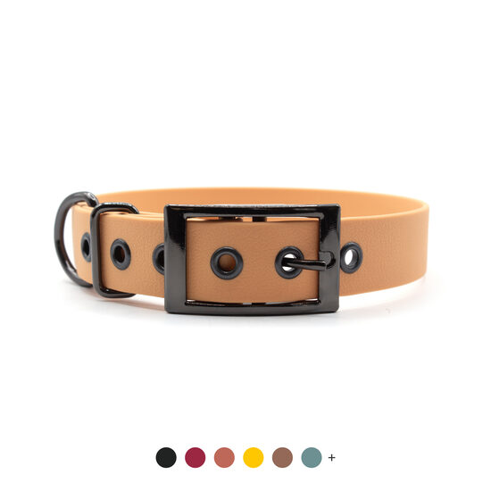 Waterproof collar strap with a gray metal double buckle